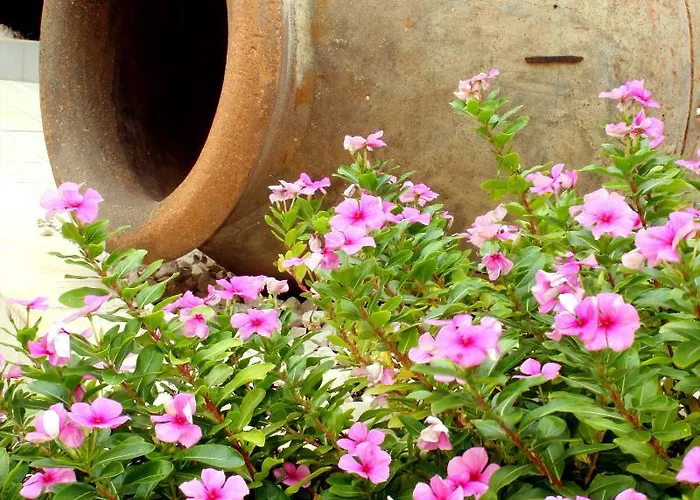 Hotel Marino Tenerife Costa Del Silencio