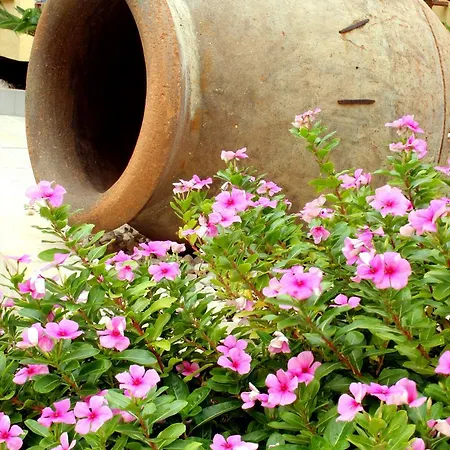 Hotell Marino Tenerife Costa Del Silencio